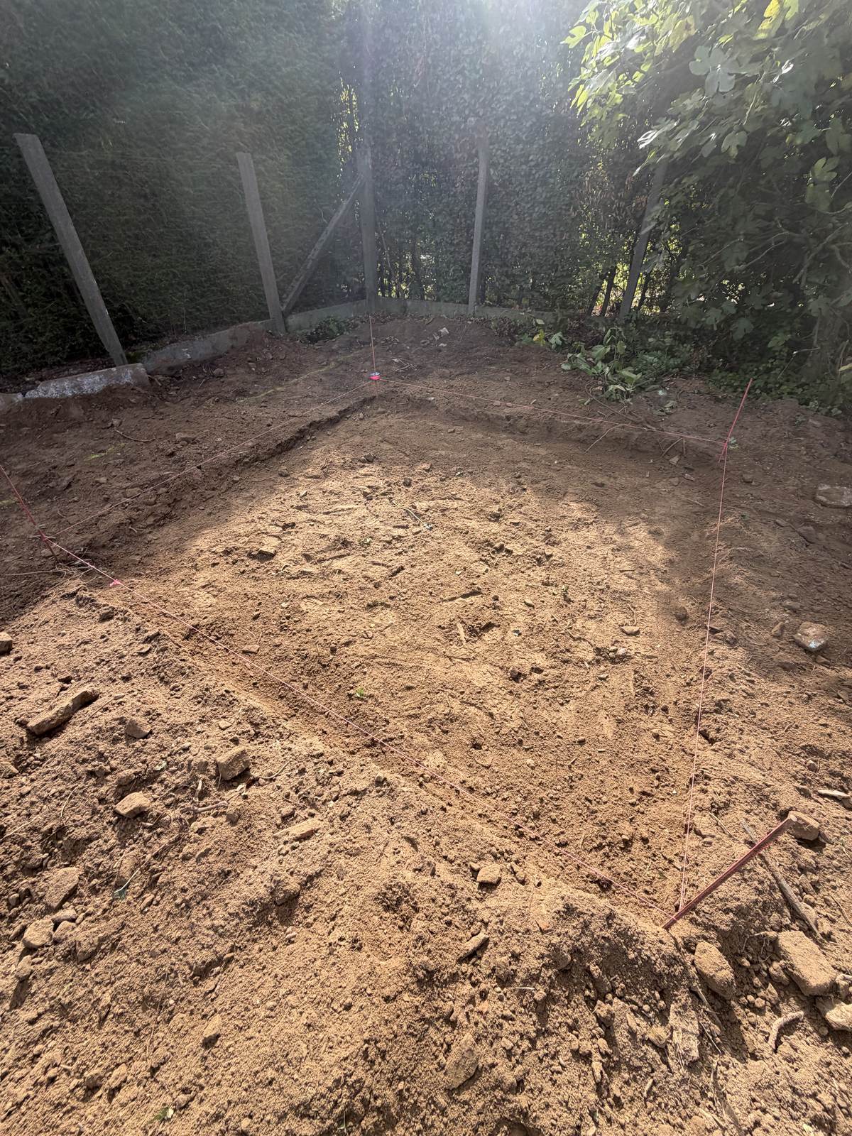 Genivelleerd perceel tussen bomen
